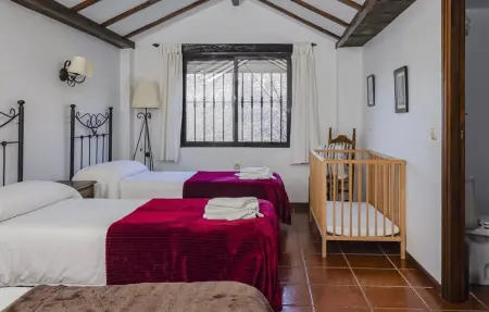 Casa Rural La Jara : 18 pers, piscine & Sierra Grazalema : photo 30