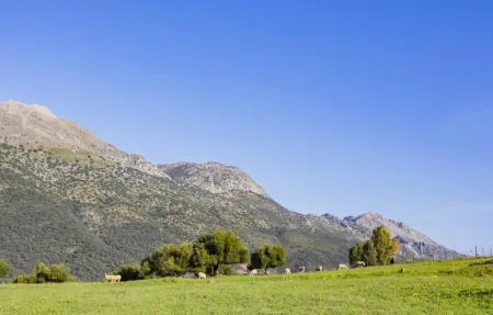 Casa Rural La Jara : 18 pers, piscine & Sierra Grazalema : photo 34