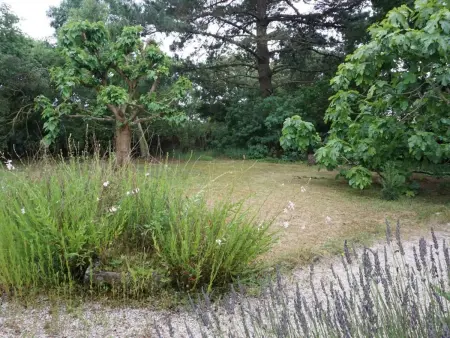Maison 6 pers. à 500 m des plages - Noirmoutier : photo 6
