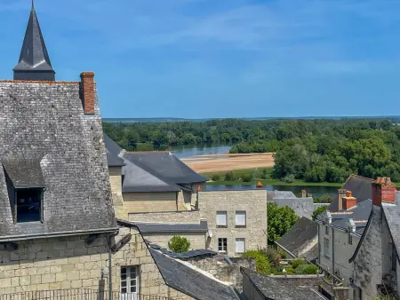 Gîte 12 pers. avec annexe à Candes-Saint-Martin : photo 2