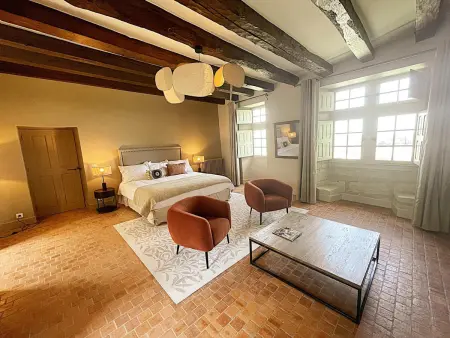 Gîte 12 pers. avec annexe à Candes-Saint-Martin : photo 16