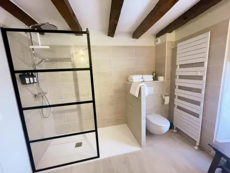 Gîte 12 pers. avec annexe à Candes-Saint-Martin : photo 24