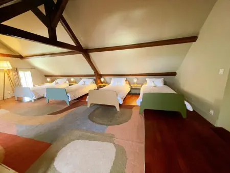 Gîte 12 pers. avec annexe à Candes-Saint-Martin : photo 27