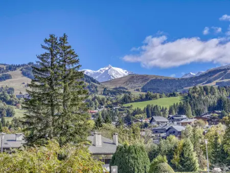 Appartement 104 m² vue Mont-Blanc, balcon sud - Megève : photo 9