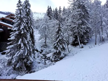 Appartement 3 pièces aux Avanchers-Valmorel, 200 m des pistes : photo 11