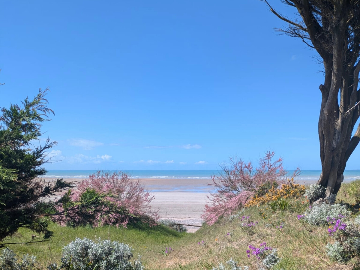 Beach house climatisée avec piscine à Saint-Pair-sur-Mer - Photo 22