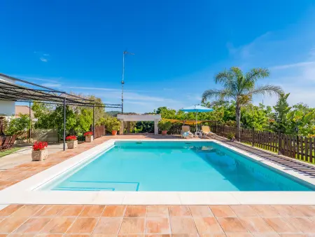 Maison rurale piscine 6x7m, animaux OK – Alhaurín el Grande : photo 36
