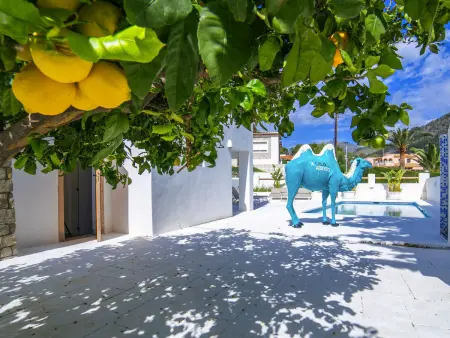 Villa Bohemia, 5 chambres avec piscine à Calpe : photo 30