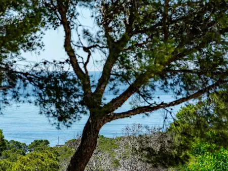 El Alba, Villa 6 personnes à Altea - Photo 51