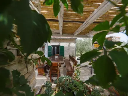 Maison Olive Garden Paljka, pierre et oliviers : photo 6