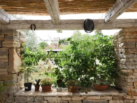 Maison Olive Garden Paljka, pierre et oliviers : photo 9