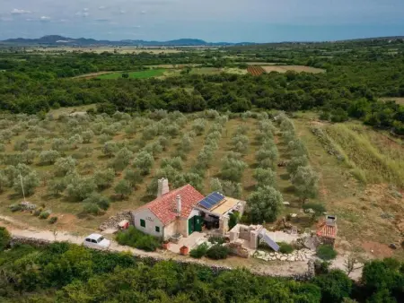 Maison Olive Garden Paljka, pierre et oliviers : photo 11