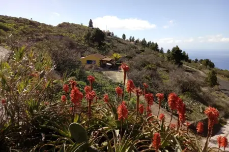 Maison avec vue mer à 680 m, Tijarafe : photo 13