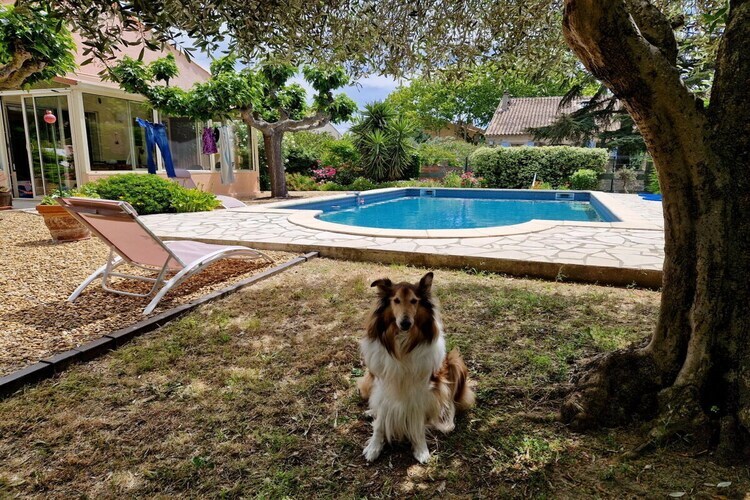 Villa Lézard Vert, maison 6 pers. avec piscine à Ginestas - Photo 18