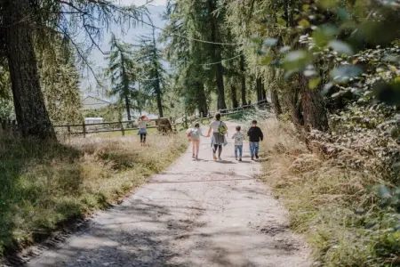 Gîte à la ferme Gruberhof, 6 personnes avec piscine : photo 17