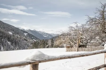 Maison Clara avec sauna privé à Luson : photo 12