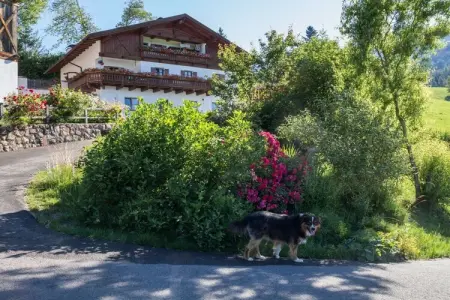 Maison de vacances Kathrein à Völs am Schlern : photo 5