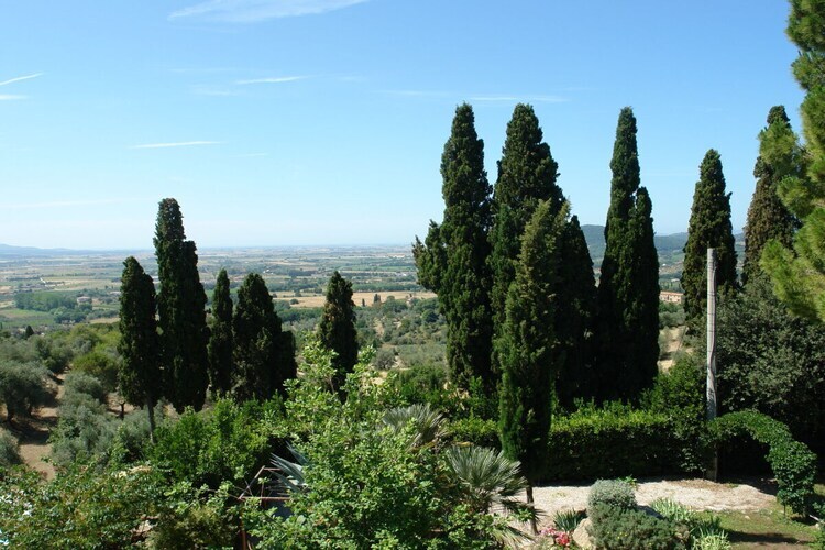 Villa La Piastraia à Suvereto avec piscine - Photo 1