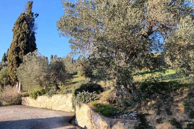 Villa La Piastraia à Suvereto avec piscine - Photo 13