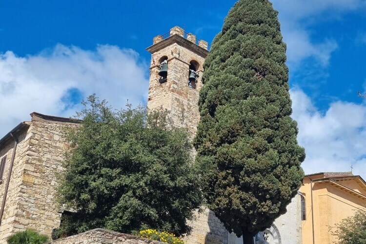 Villa La Piastraia à Suvereto avec piscine - Photo 33