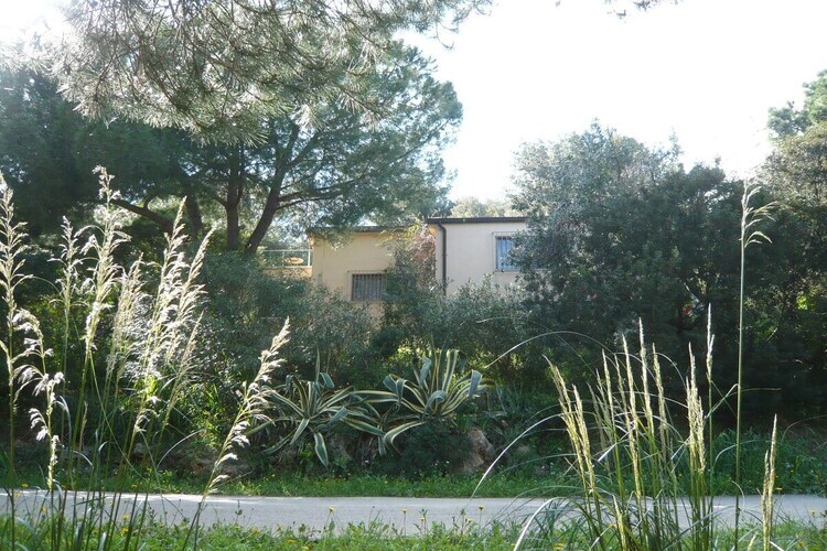 Maison 5 pers. avec œuvres d'art à Porto Azzurro - Photo 2