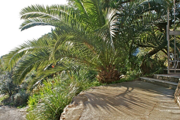 Maison 5 pers. avec œuvres d'art à Porto Azzurro - Photo 3
