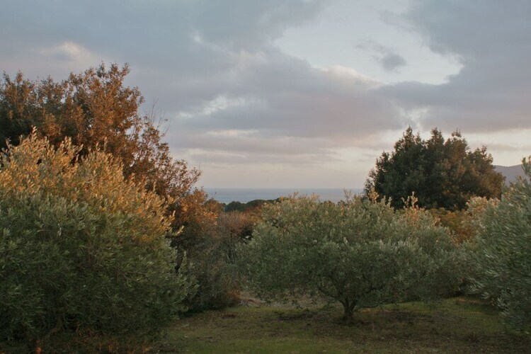 Maison 5 pers. avec œuvres d'art à Porto Azzurro - Photo 20