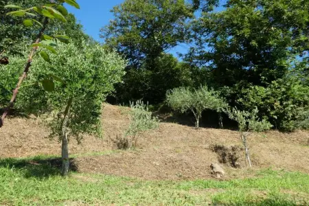 Maison de luxe 120 m² avec piscine et vue mer, Castellumberto : photo 19
