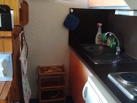 Studio 25 m² vue lac, balcon sud - Super Besse : photo 9