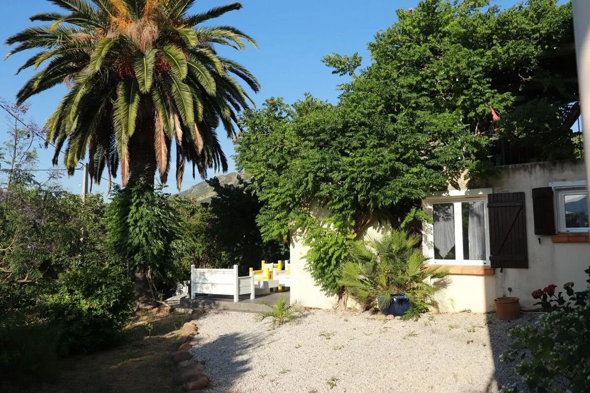 Studio 30 m² Calenzana avec terrasse et barbecue - Photo 4