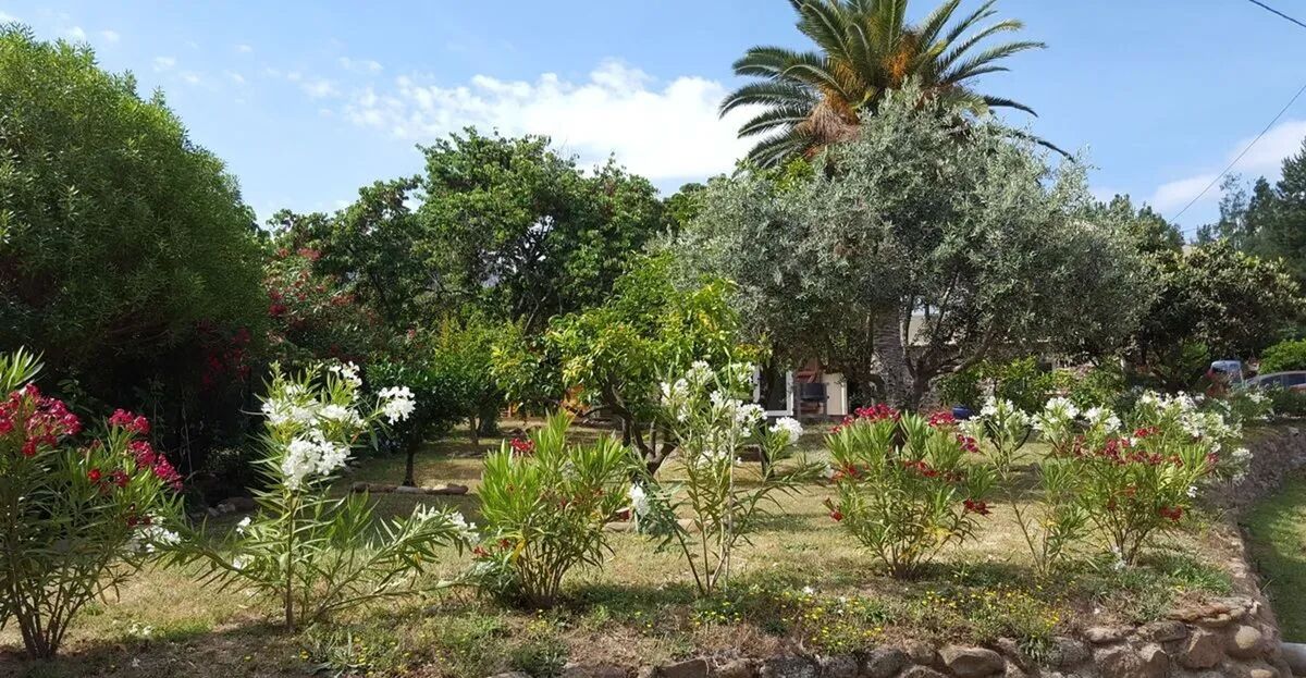 Studio 30 m² Calenzana avec terrasse et barbecue - Photo 14