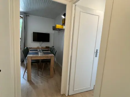 Le Clevieu : Appartement 4 pers. vue montagne à Samoëns : photo 13