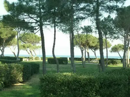 T3 climatisé 50m plage à Argelès-sur-Mer : photo 8