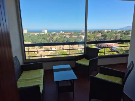 Appartement vue mer, climatisé, terrasse Est à Argelès : photo 1