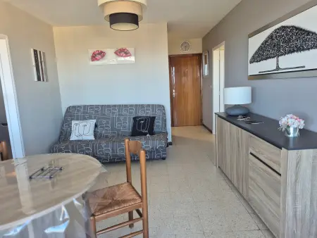 Appartement vue mer, climatisé, terrasse Est à Argelès : photo 4