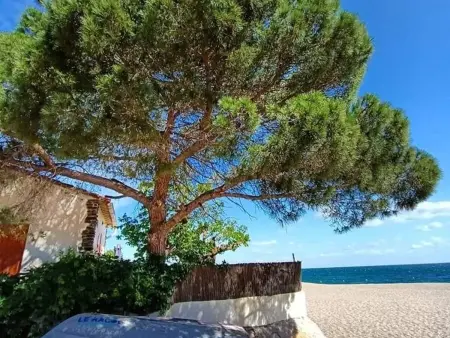 Villa avec piscine privée, climatisation et jardin clos - Argelès-sur-Mer - Photo 12