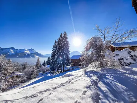 Chalet Le Cornuit, Chalet 8 personnes à Villars - Photo 34