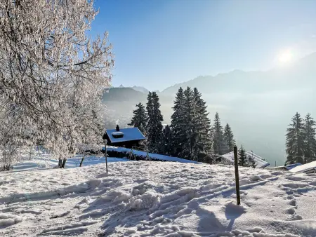Chalet Le Cornuit, Chalet 8 personnes à Villars - Photo 35