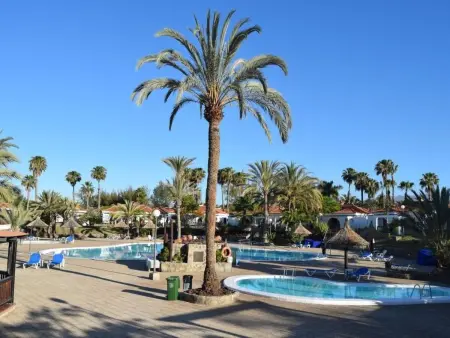 Bungalow 1 chambre avec 3 piscines à Maspalomas : photo 3