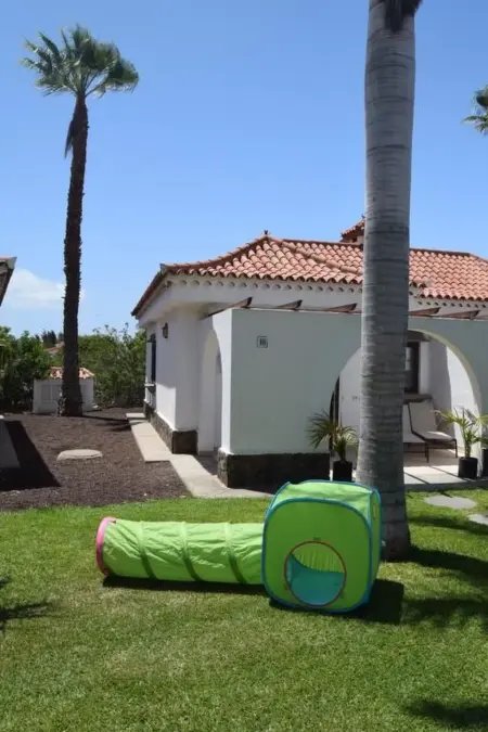 Bungalow 1 chambre avec 3 piscines à Maspalomas : photo 6
