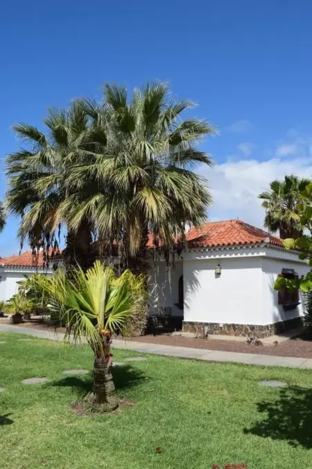 Bungalow 1 chambre avec 3 piscines à Maspalomas : photo 23