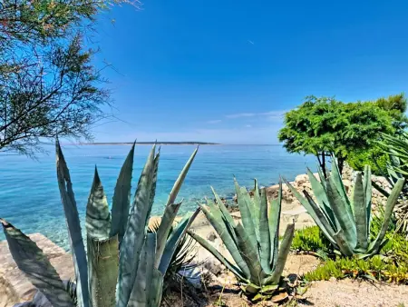 Maison Lotta, piscine privée à 400m de la plage : photo 33