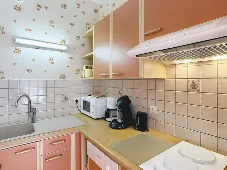 Studio sud 24m² - 4 pers. à la Toussuire : photo 6
