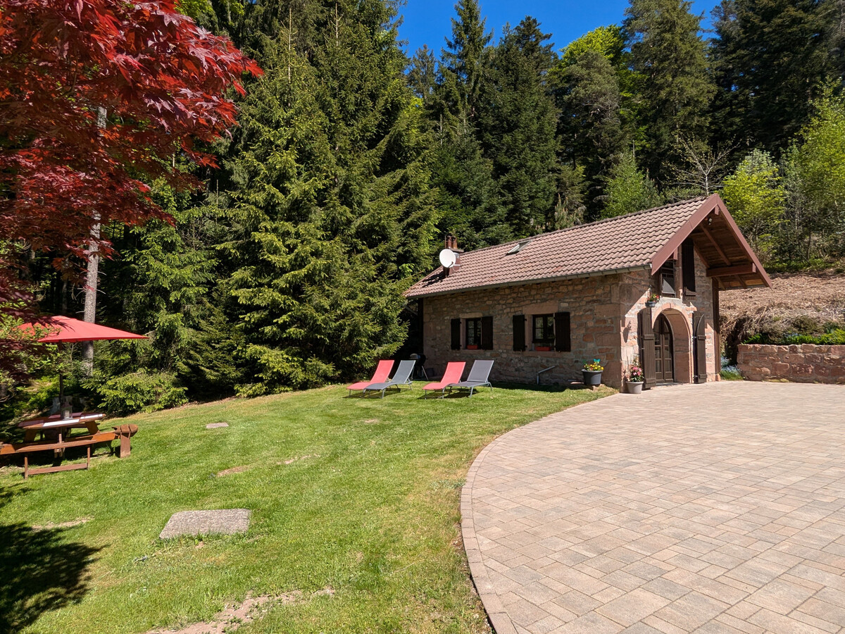 Gîte de la Charme de l'Ormont au Tholy - 4 pers. - Photo 1