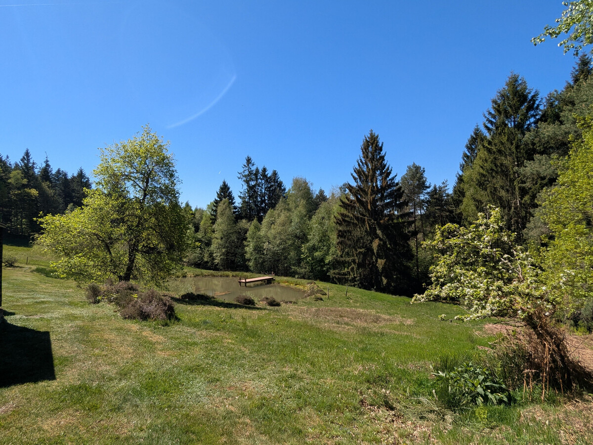 Gîte de la Charme de l'Ormont au Tholy - 4 pers. - Photo 17
