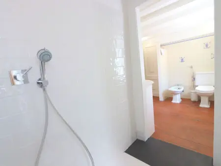 Penthouse Rua Augusta avec terrasse vue Rossio : photo 7