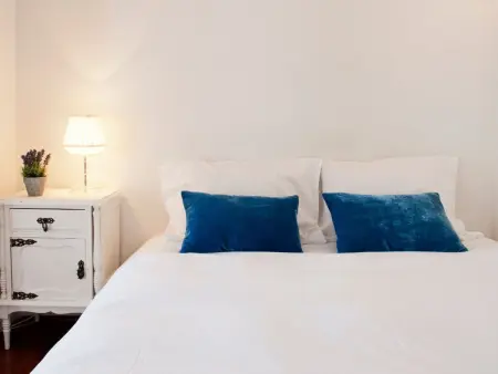 Penthouse Rua Augusta avec terrasse vue Rossio : photo 10
