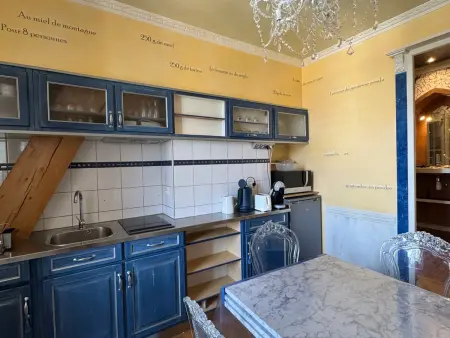 Studio atypique 29m² vue montagne, animaux acceptés : photo 4