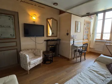 Studio atypique 29m² vue montagne, animaux acceptés : photo 5
