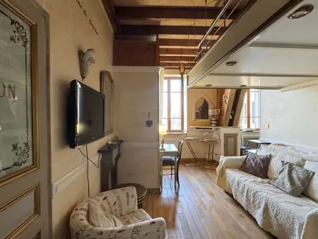 Studio atypique 29m² vue montagne, animaux acceptés : photo 6
